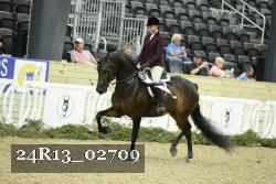 24R13_02709 thumbnail
