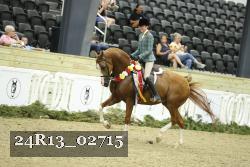 24R13_02715 thumbnail