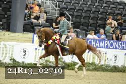 24R13_02719 thumbnail