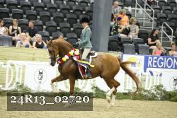 24R13_02720 thumbnail