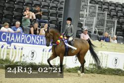 24R13_02721 thumbnail