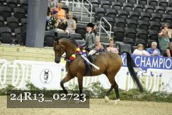 24R13_02723 thumbnail