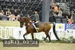 24R13_02724 thumbnail