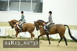 24R13_02731 thumbnail