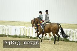 24R13_02736 thumbnail