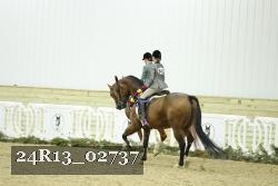 24R13_02737 thumbnail