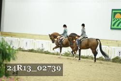 24R13_02739 thumbnail