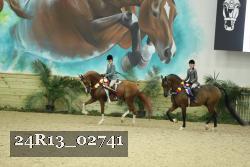 24R13_02741 thumbnail