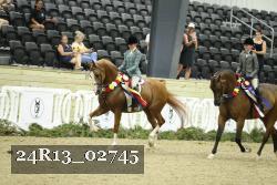24R13_02745 thumbnail