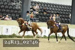24R13_02746 thumbnail