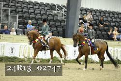 24R13_02747 thumbnail