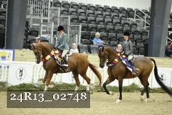 24R13_02748 thumbnail