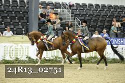 24R13_02751 thumbnail