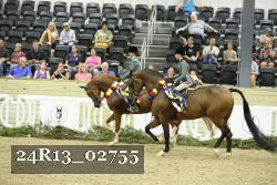 24R13_02755 thumbnail