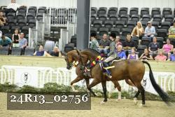 24R13_02756 thumbnail
