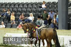 24R13_02760 thumbnail