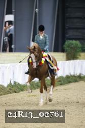 24R13_02761 thumbnail