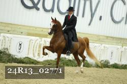 24R13_02771 thumbnail
