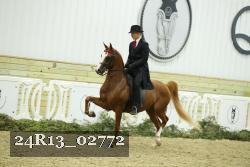 24R13_02772 thumbnail