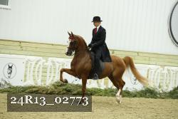24R13_02773 thumbnail