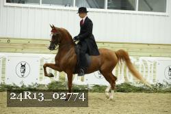 24R13_02774 thumbnail