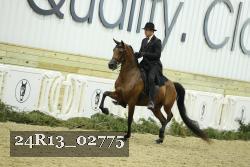24R13_02775 thumbnail
