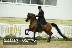 24R13_02776 thumbnail