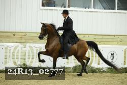 24R13_02777 thumbnail