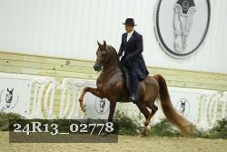 24R13_02778 thumbnail
