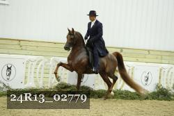 24R13_02779 thumbnail