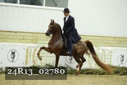 24R13_02780 thumbnail