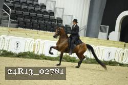 24R13_02781 thumbnail