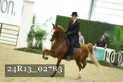 24R13_02783 thumbnail