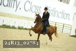 24R13_02784 thumbnail