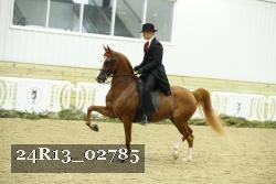 24R13_02785 thumbnail