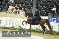 24R13_02786 thumbnail