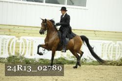 24R13_02789 thumbnail