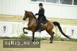24R13_02790 thumbnail