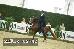 24R13_02792 thumbnail