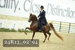 24R13_02794 thumbnail