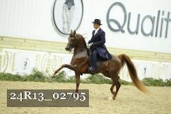 24R13_02795 thumbnail