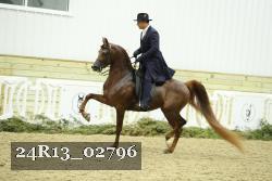 24R13_02796 thumbnail