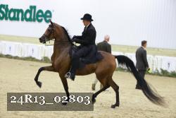 24R13_02803 thumbnail