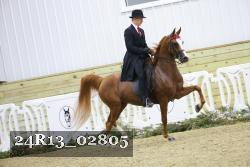 24R13_02805 thumbnail