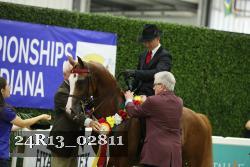 24R13_02811 thumbnail