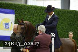 24R13_02817 thumbnail