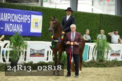 24R13_02818 thumbnail