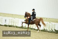 24R13_02823 thumbnail