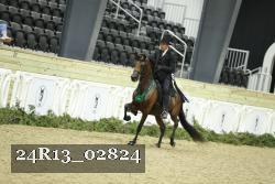 24R13_02824 thumbnail
