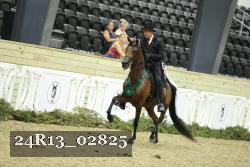 24R13_02825 thumbnail